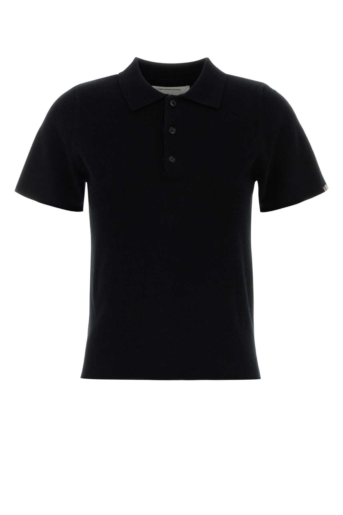 n198_salamander_19817401TU05_RAVEN_Image_1