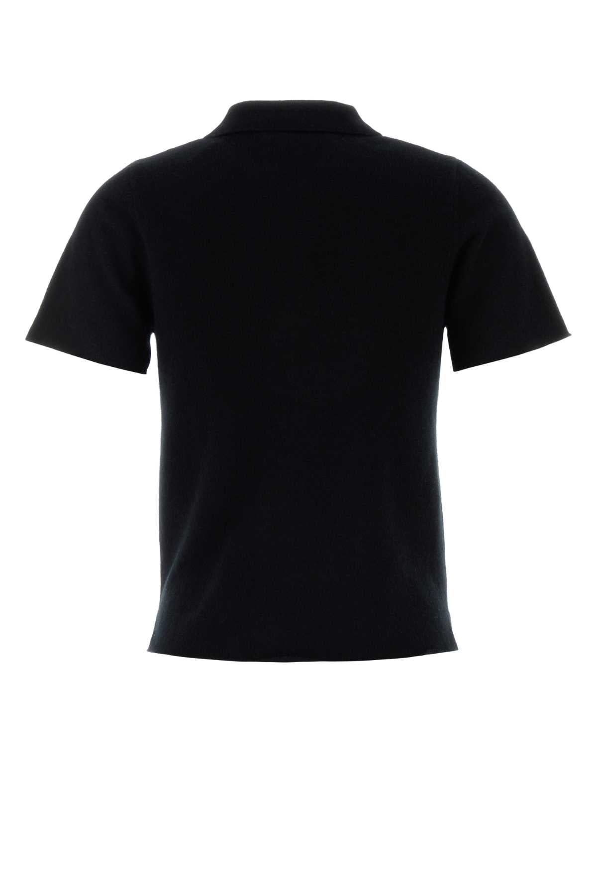 n198_salamander_19817401TU05_RAVEN_Image_2